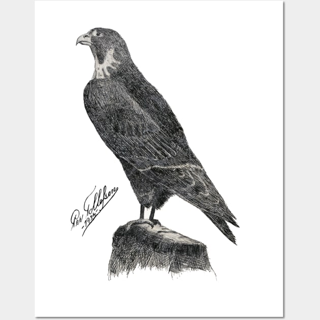 Peregrine Falcon Wall Art by The Splendid Forest